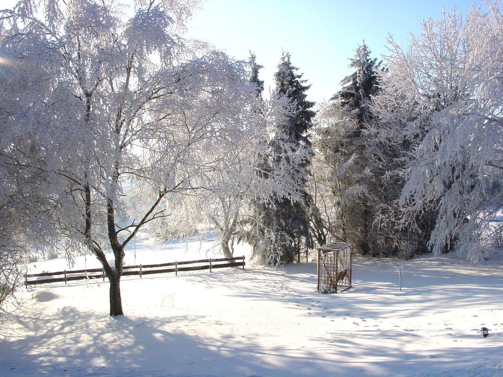 Fewo Holms Winterberg Room photo